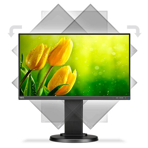 NEC MultiSync E221N Monitor