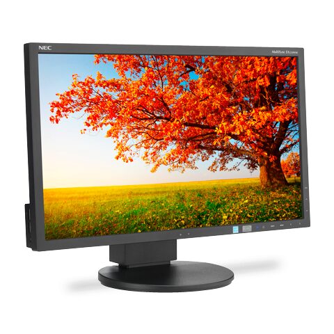 NEC MultiSync EA224WMi 22-inch LED Desktop Monitor