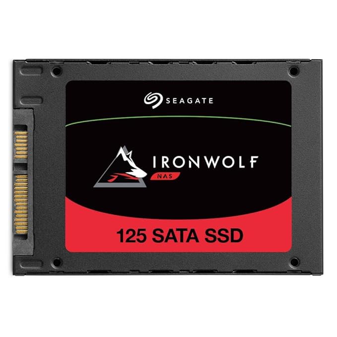 Seagate IronWolf 125 SSD 4TB